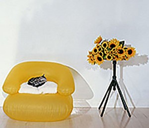 other_img005