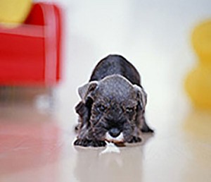 other_img013