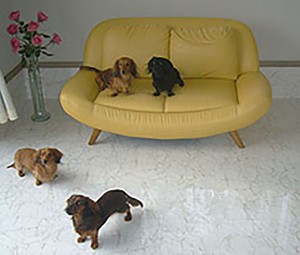 other_img015